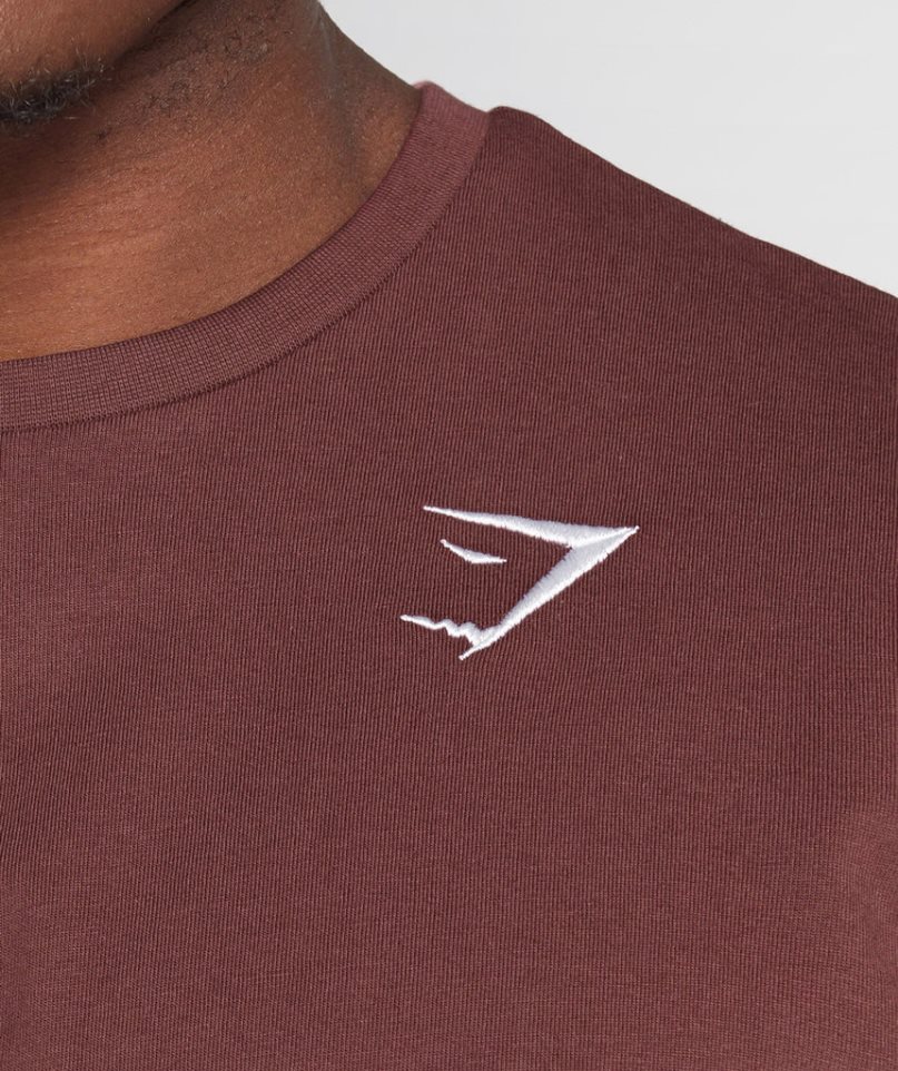 Koszulki Gymshark Crest Męskie Brązowe | PL 612XTK